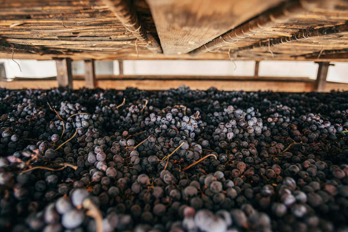 Appassimento e fermentazione delle uve
