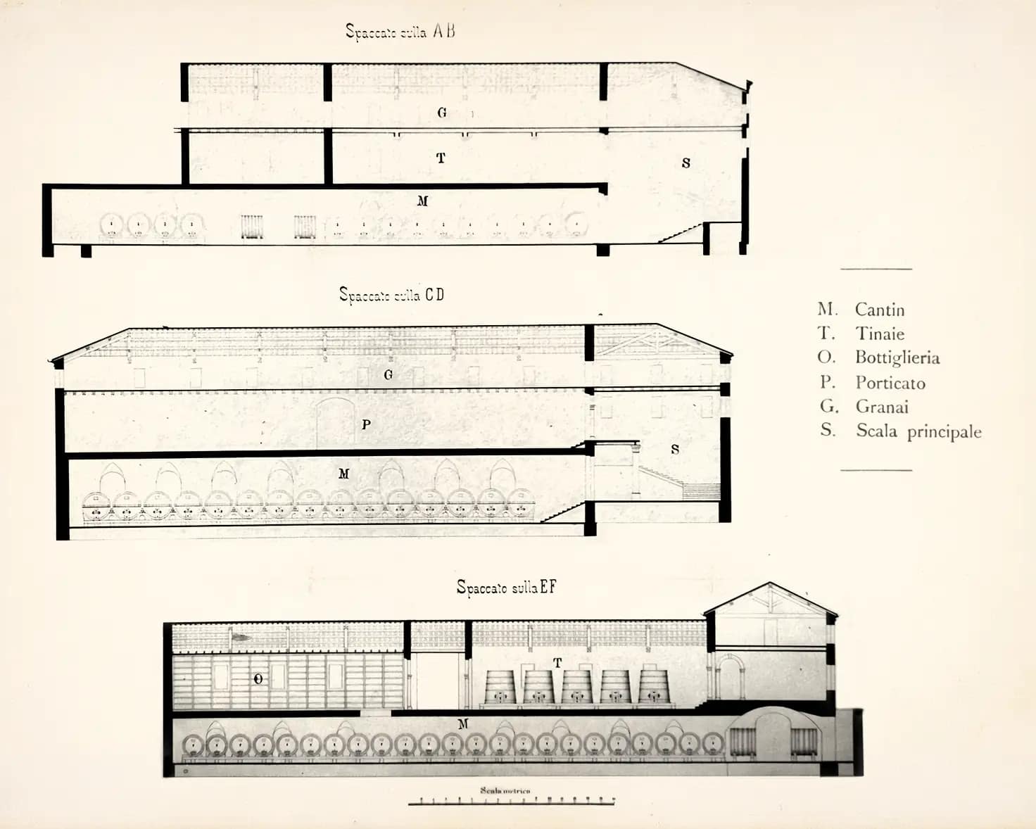 The gravity-flow winery: three levels, one design Tenuta Santa Maria di Gaetano Bertani - 1735 - Valpolicella - Verona, Italy