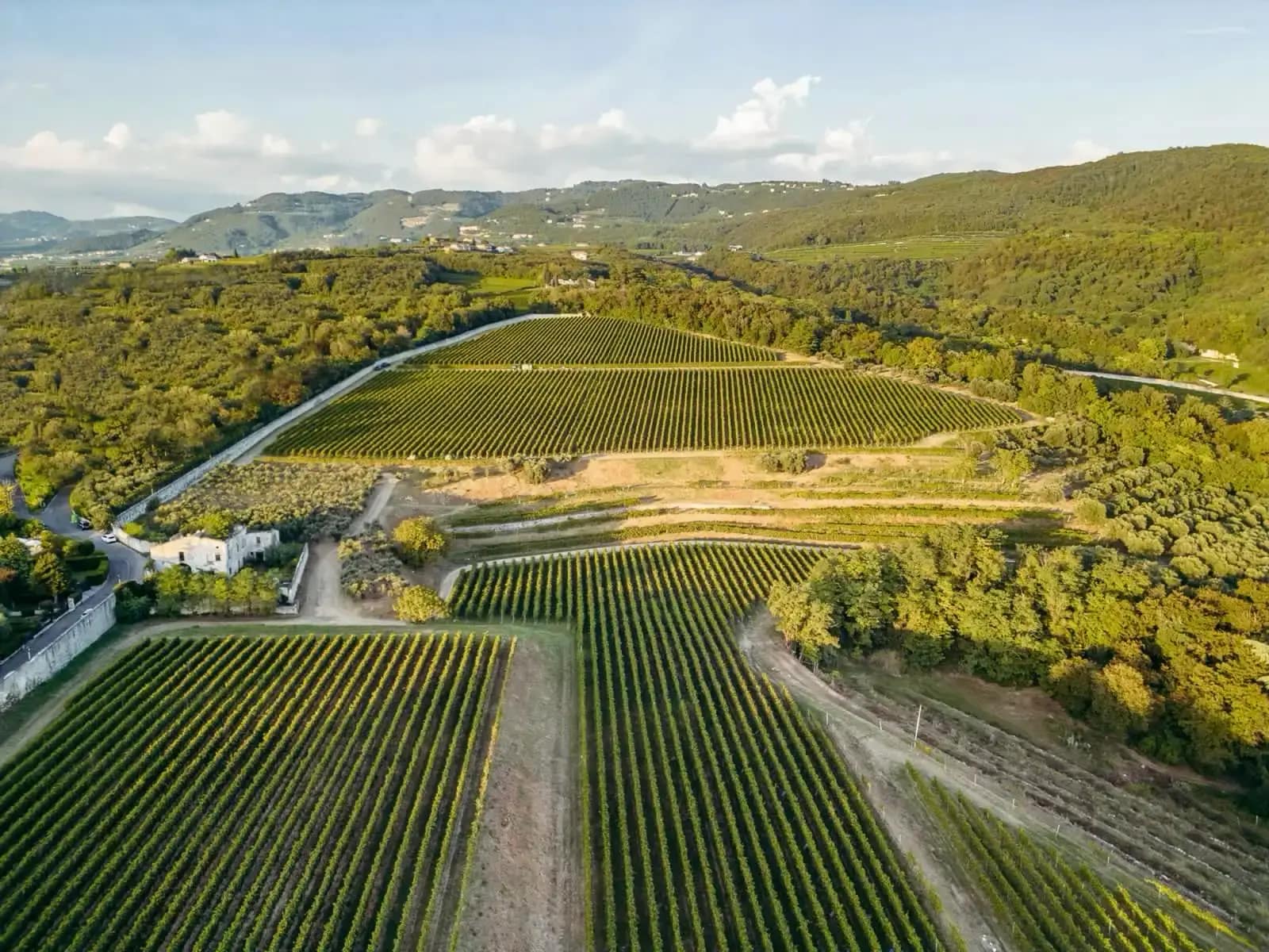 Tenuta Santa Maria di Gaetano Bertani – Valpolicella Verona Italy – Vigneti del Brolo Tenuta Santa Maria di Gaetano Bertani - Valpolicella Verona Italy - Vigneti del Brolo