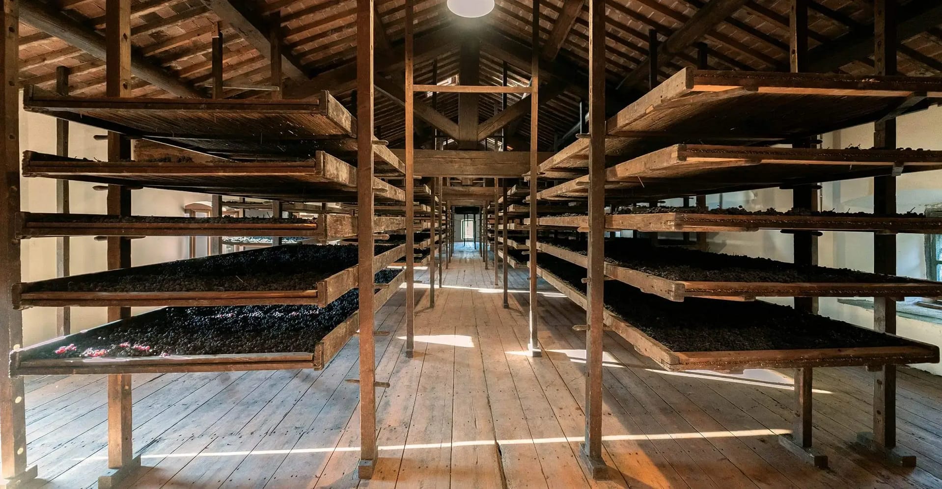 Historic 18th-century drying room, used for the appassimento method Tenuta Santa Maria 1735 - Valpolicella - Verona, Italy