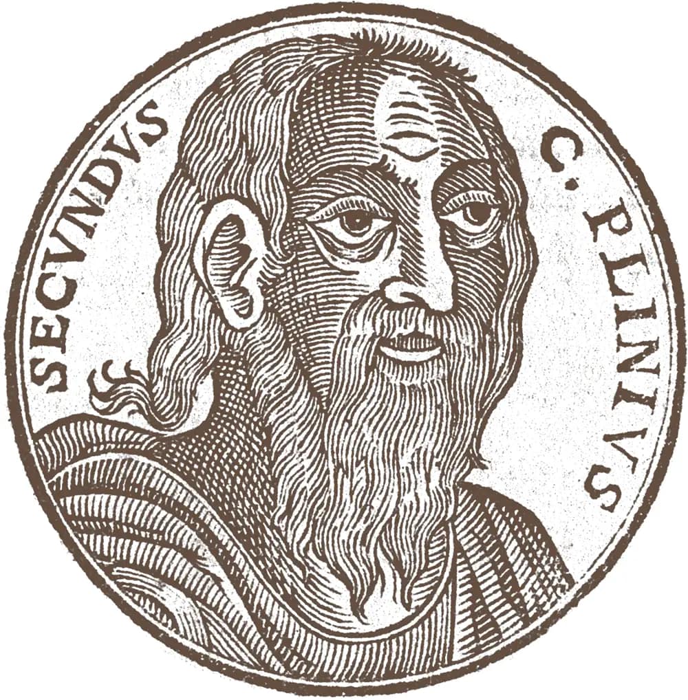 Tenuta-Santa-Maria-di-Gaetano-Bertani_Verona-Appassimento_Pliny-the-Elder