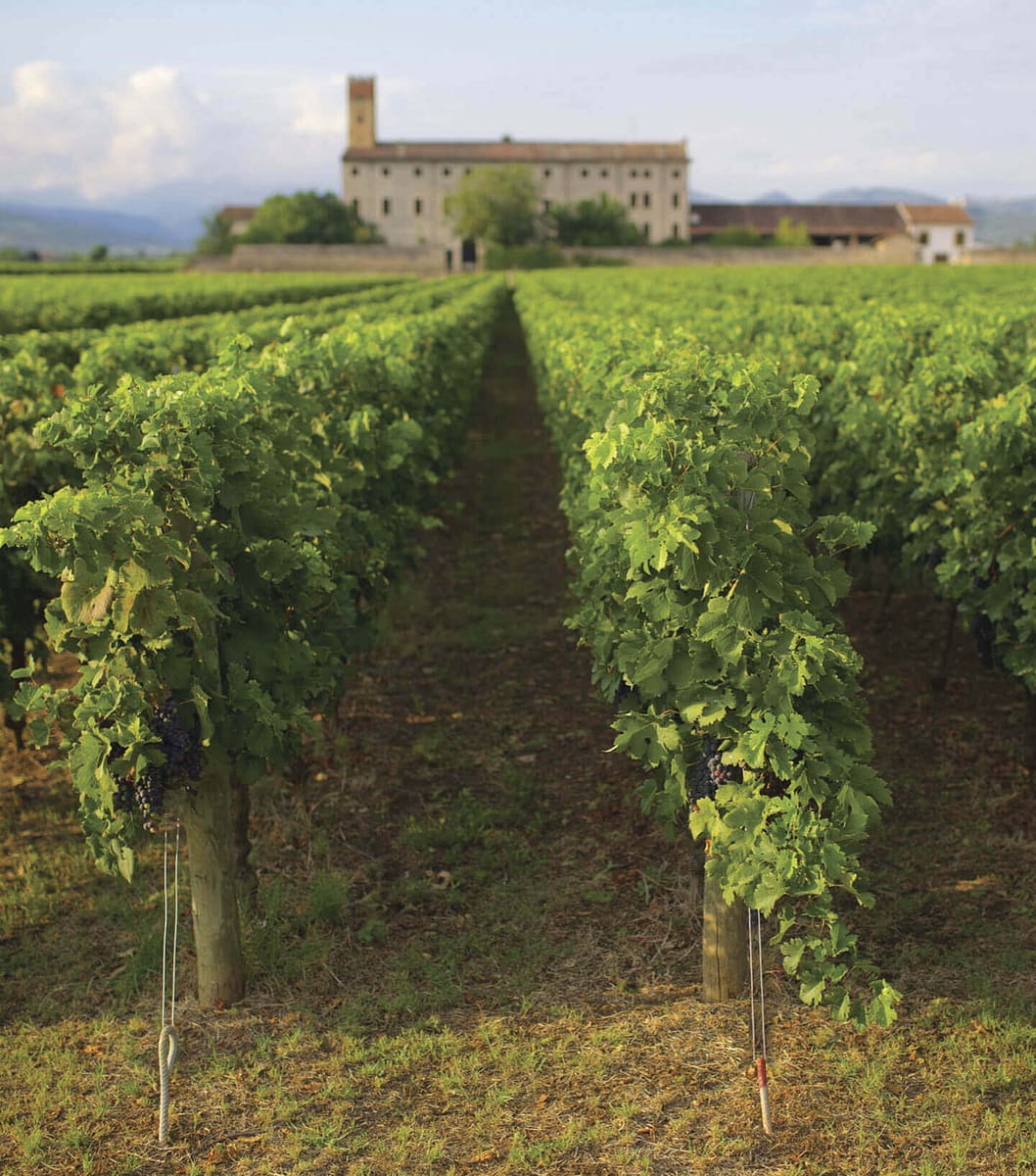 La Tenuta di Colognola ai Colli La Tenuta di Colognola ai Colli
