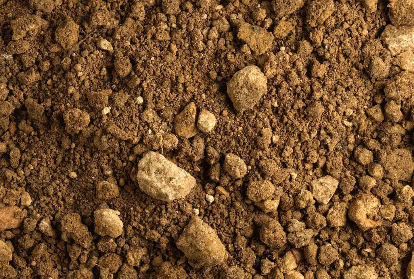 Tenuta-Santa-Maria-di-Gaetano-Bertani_Verona_Limestone-Soil-Arbizzano