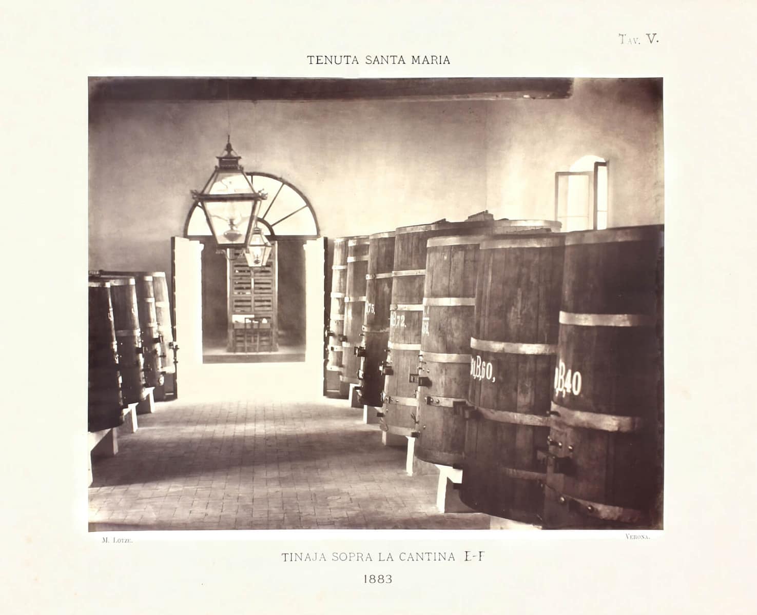 Historic wine cellar from the 1800s – Tenuta Santa Maria Historic wine cellar from the 1800s - Tenuta Santa Maria