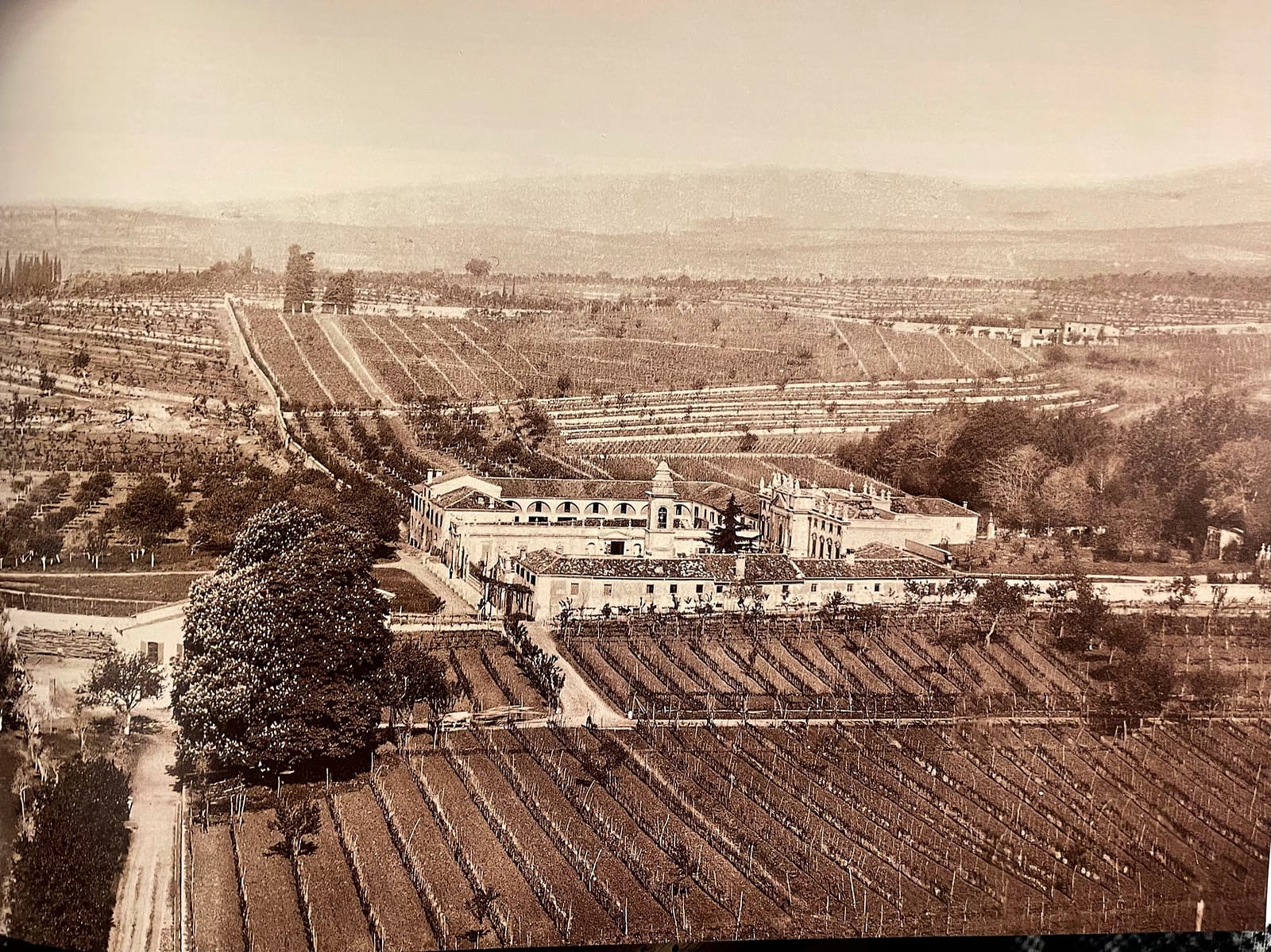 Cantina Amarone – Tenuta Santa Maria di Gaetano Bertani Cantina Amarone - Tenuta Santa Maria di Gaetano Bertani - Foto anni '20