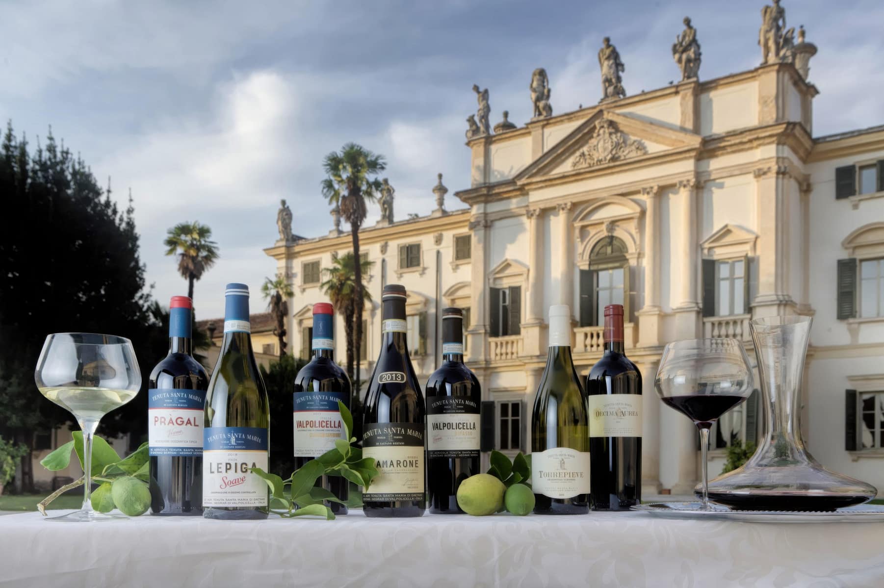 Verona Wine Tasting: An Exclusive Experience in the Heart of Valpolicella