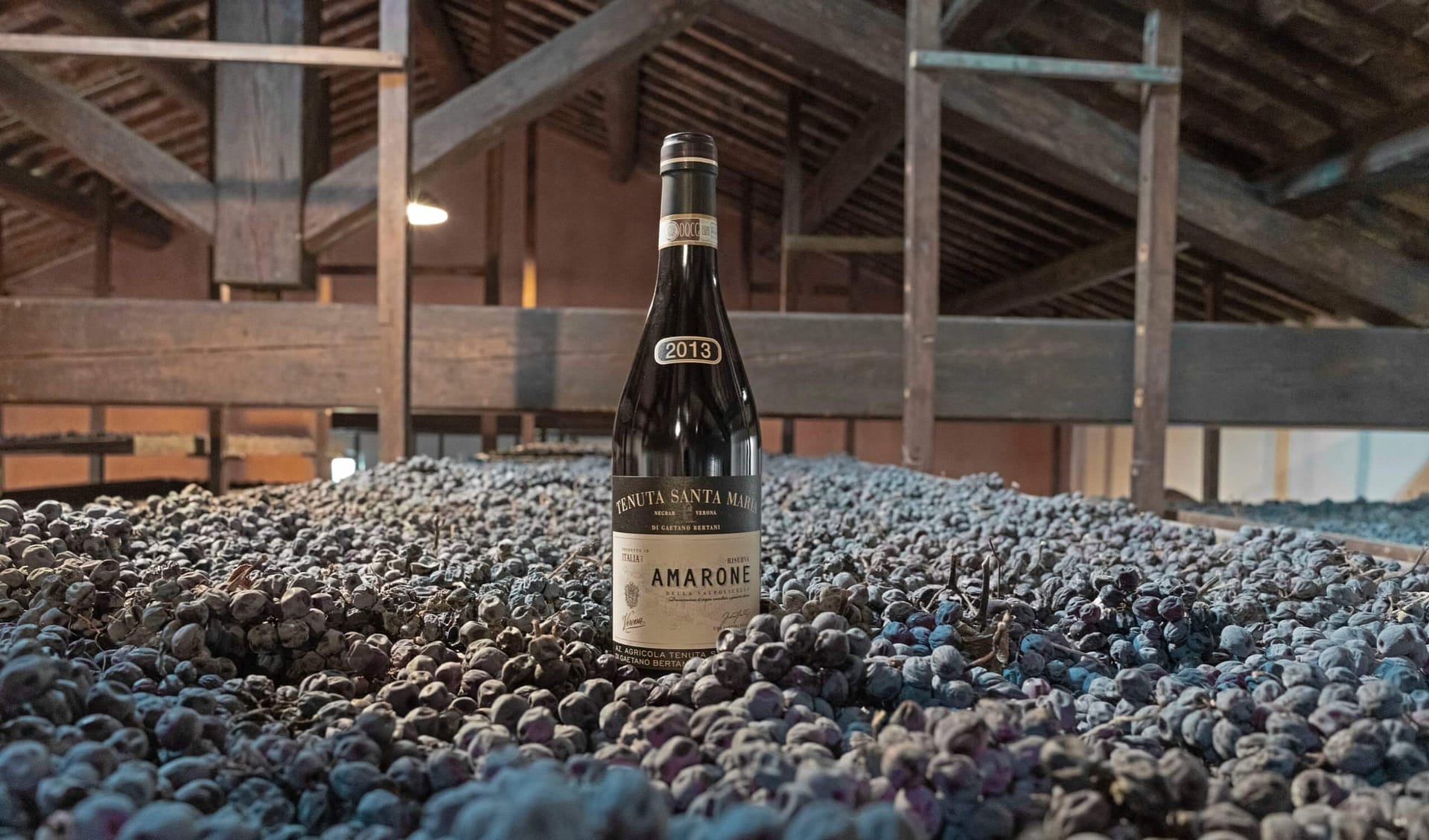 Amarone: i vitigni che regalano un nettare d’eccellenza