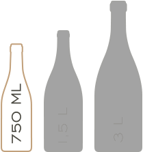 Tenuta-Santa-Maria-di-Gaetano-Bertani_Verona-Italia_bottles-1