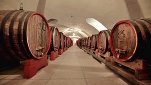 Botti Amarone storiche Tenuta Santa Maria di Gaetano Bertani - Valpolicella Verona Italy