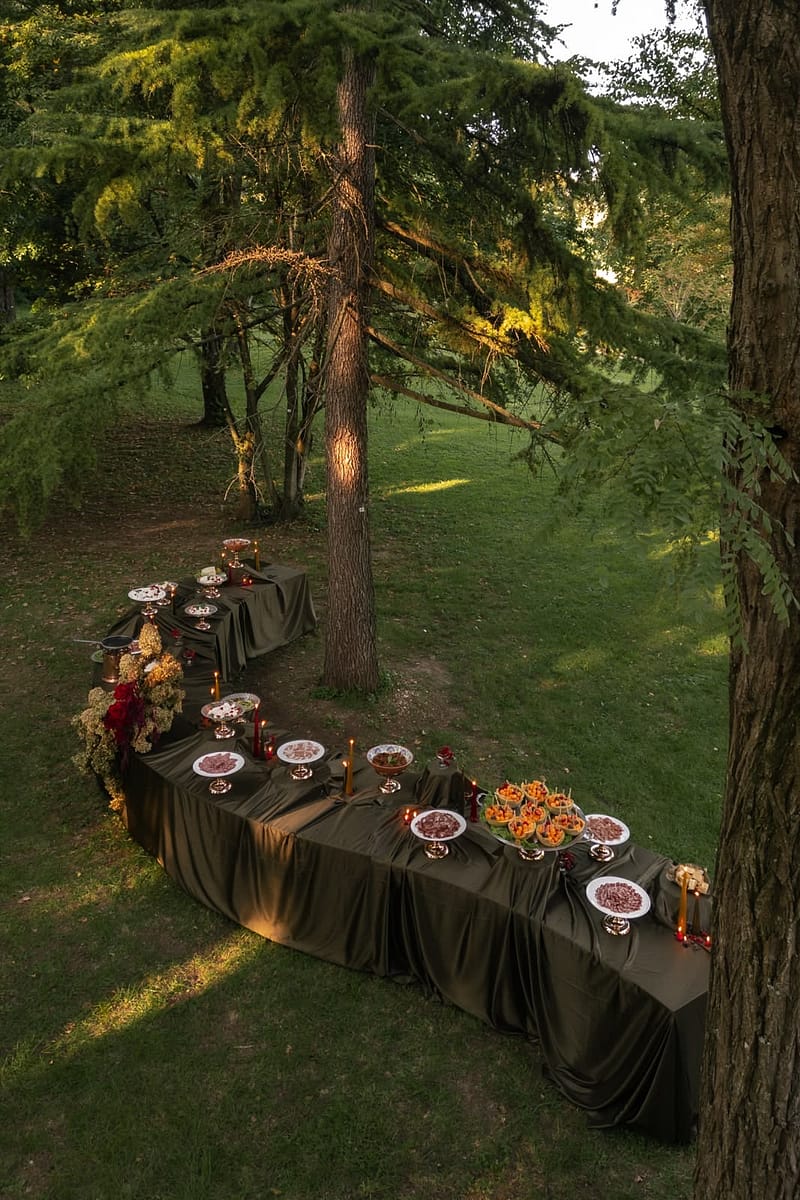 Bertani wedding in the vineyard Bertani wedding in the vineyard