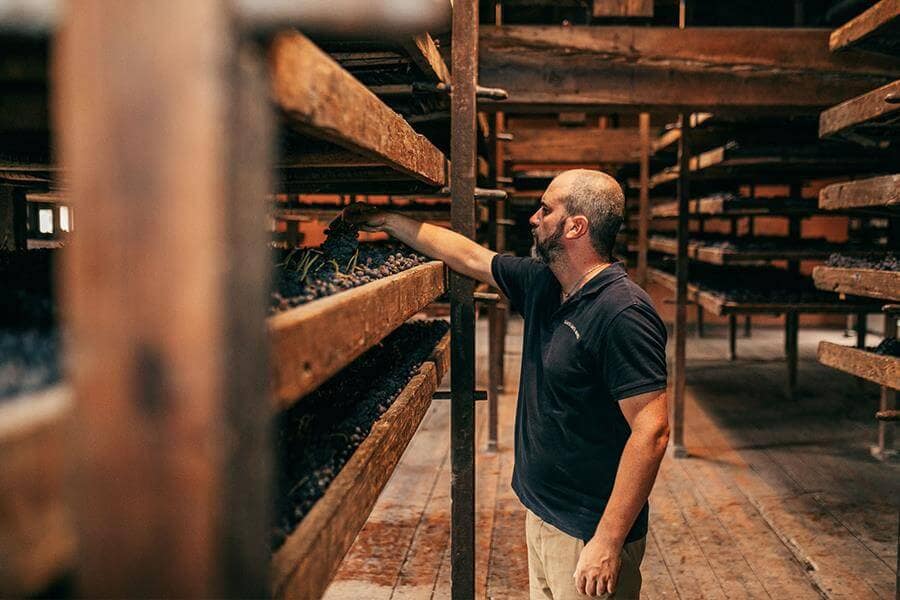 Tenuta-Santa-Maria-di-Gaetano-Bertani_Stefano_3-2-9900000000079e3c Drying process