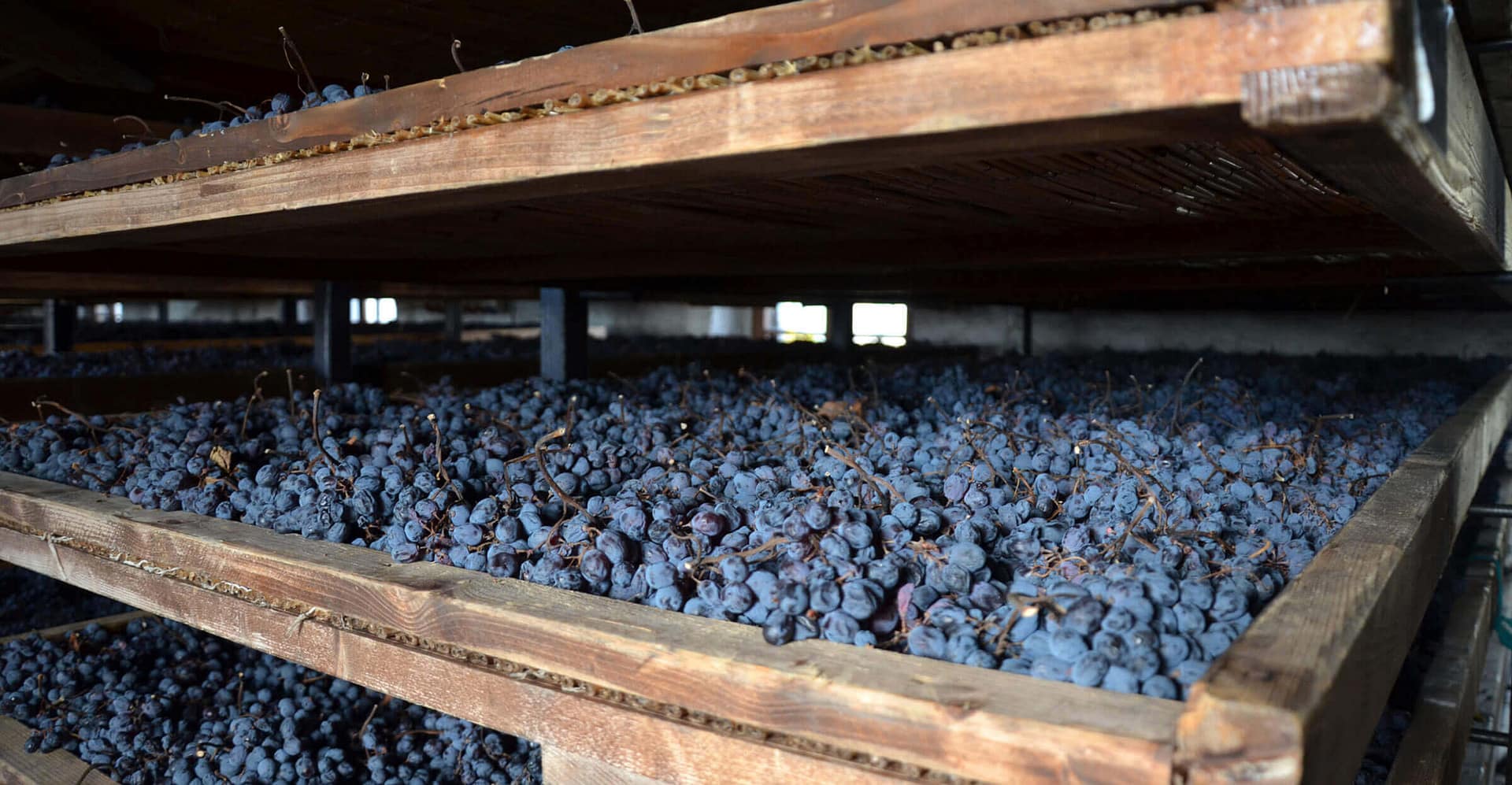 Tenuta Santa Maria di Gaetano Bertani - Valpolicella Verona Italy