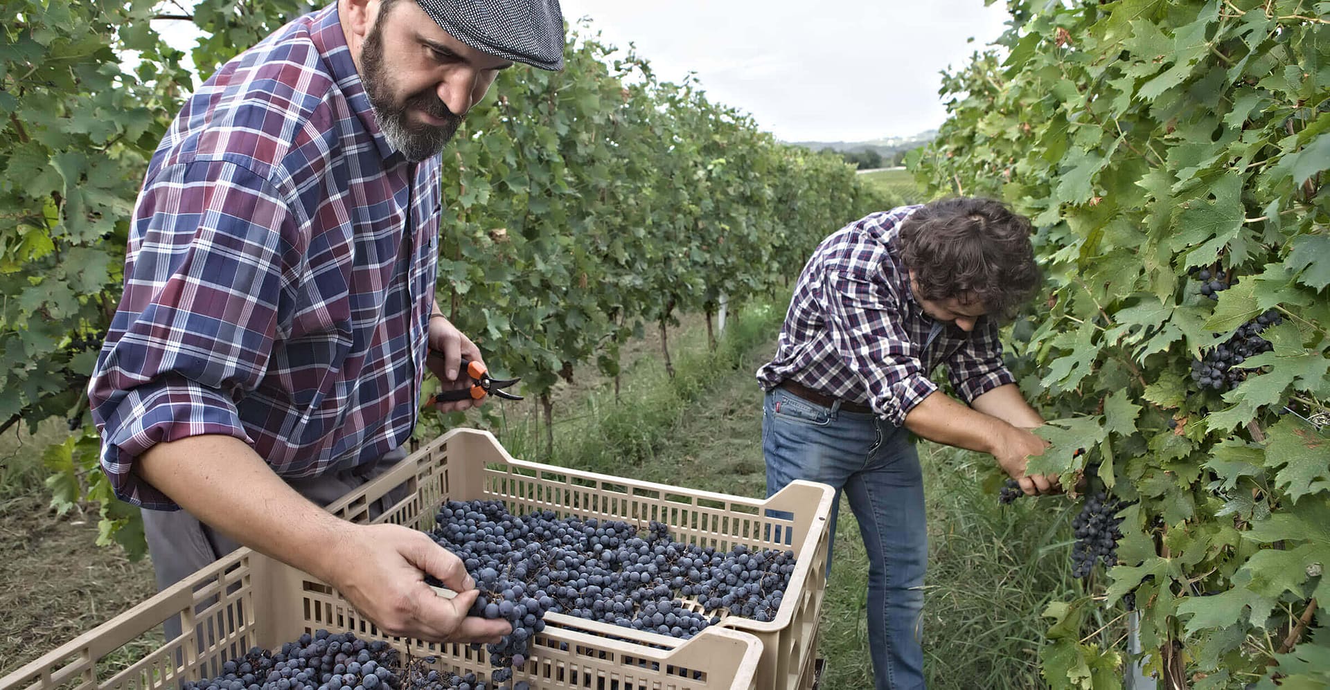 Tenuta Santa Maria di Gaetano Bertani - Valpolicella Verona Italy