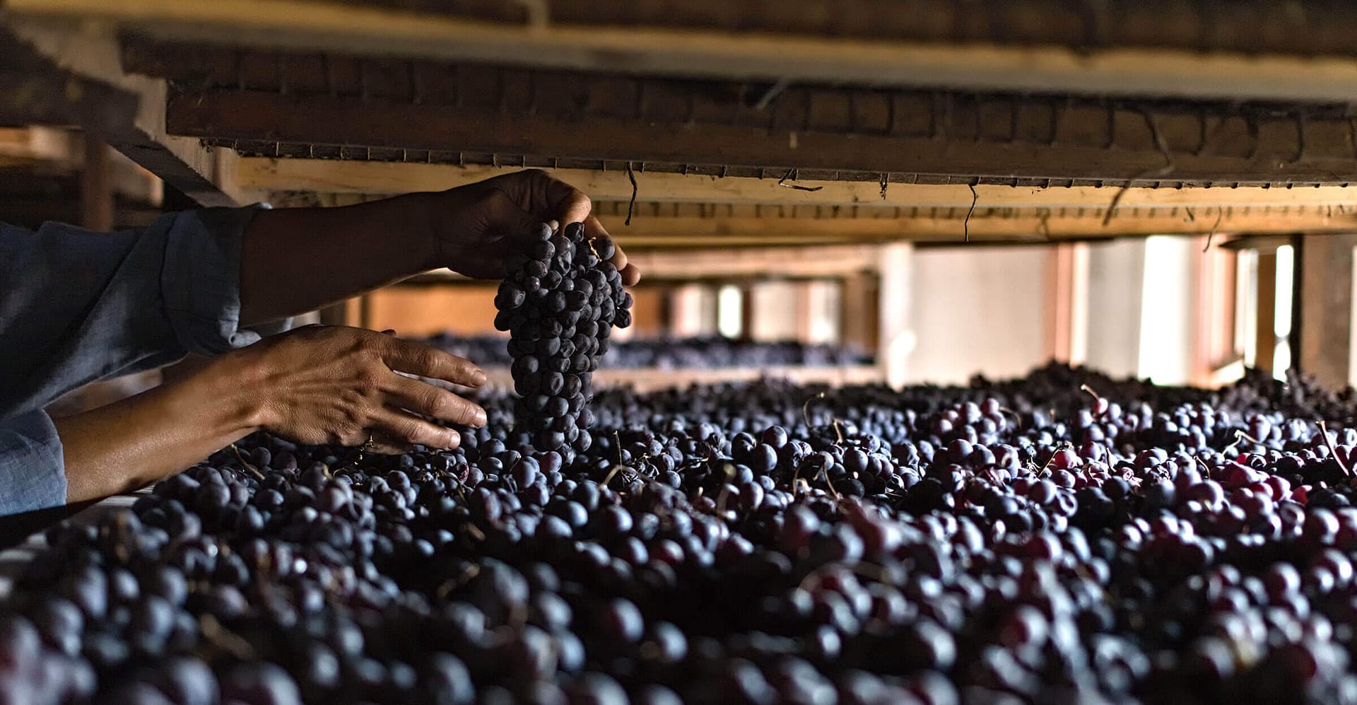 Tenuta Santa Maria di Gaetano Bertani - Valpolicella Verona Italy