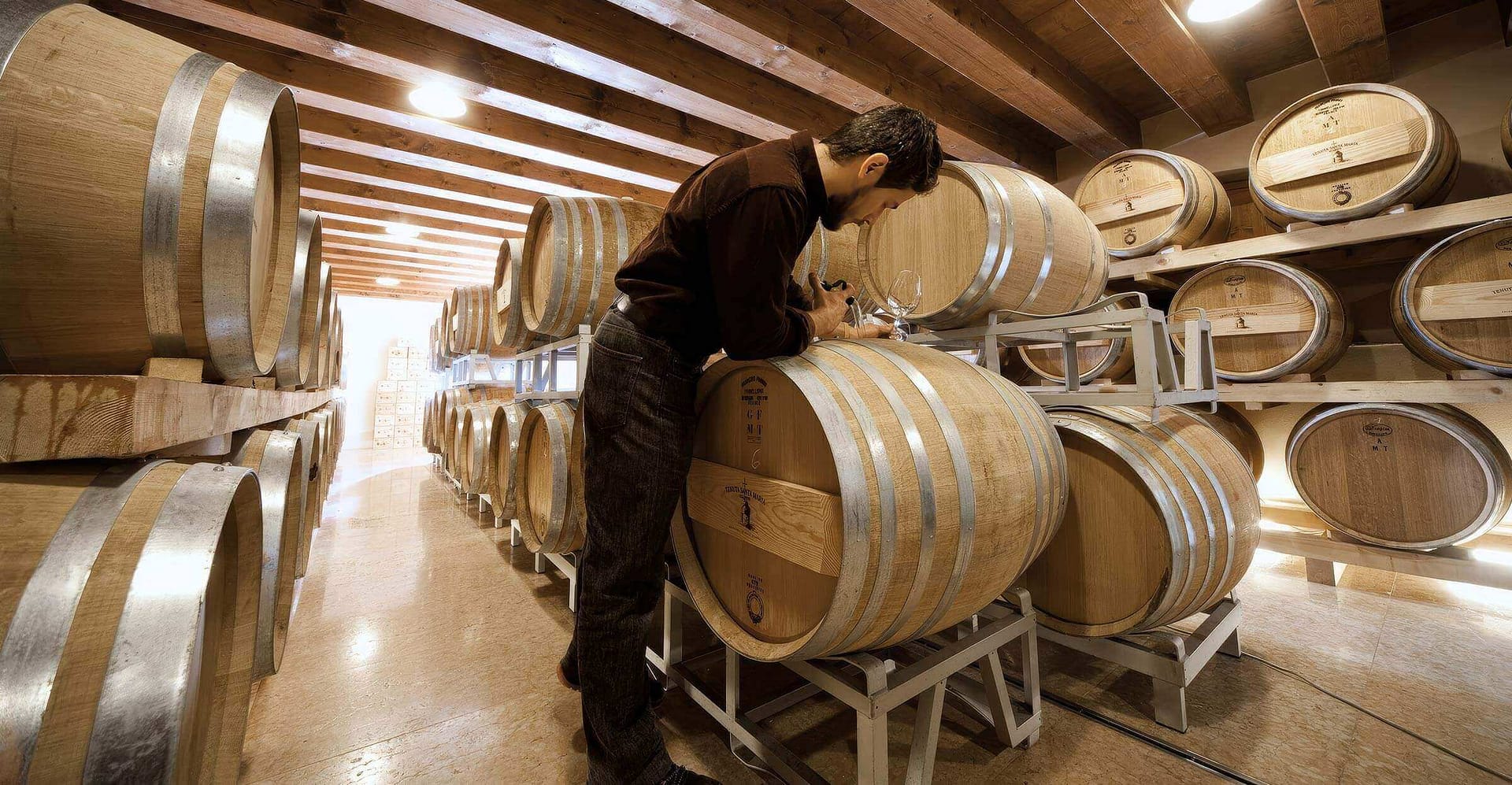 Tenuta Santa Maria di Gaetano Bertani - Decima Aurea Barrique Room
