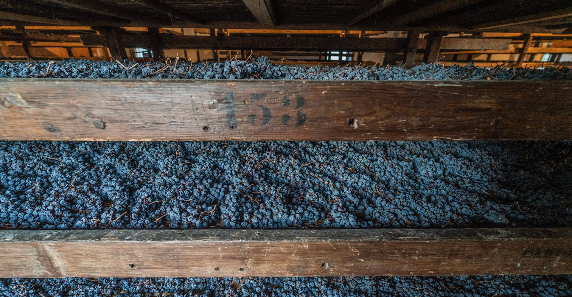 Tenuta Santa Maria di Gaetano Bertani - Arelle per l’Appassimento delle Uve dell’Amarone