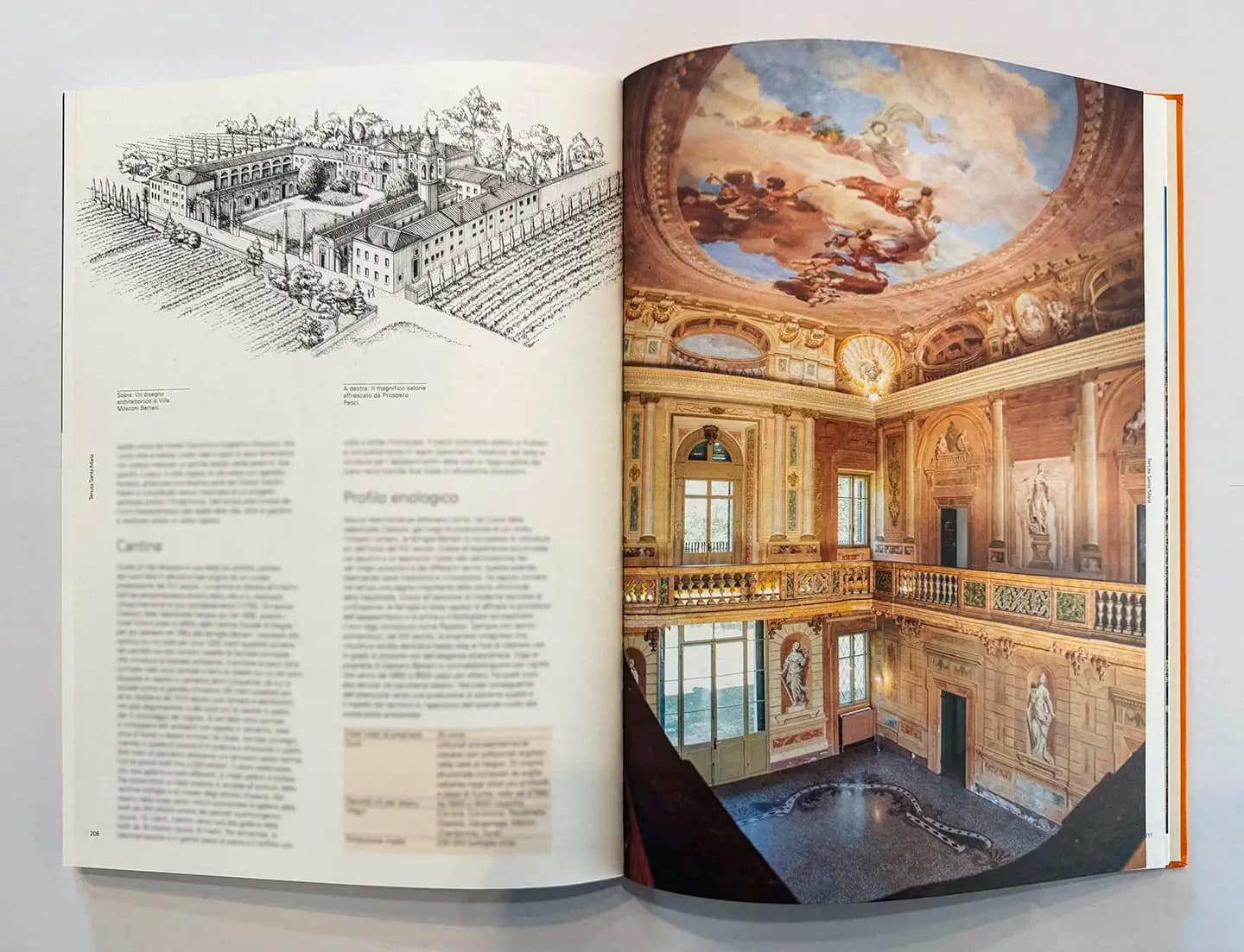 Tenuta-Santa-Maria_Libro-Cantine-Storiche-3 Tenuta Santa Maria