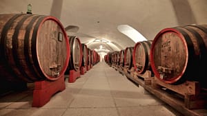 Botti Amarone storiche Tenuta Santa Maria di Gaetano Bertani - Valpolicella Verona Italy