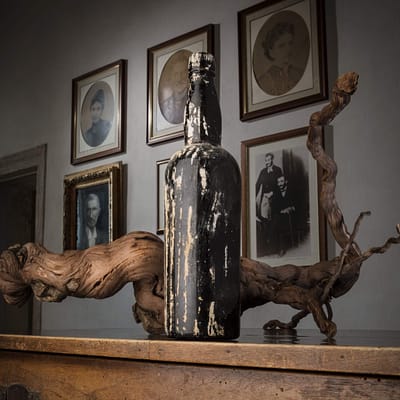 ACINATICO Amarone Eredi Bertani