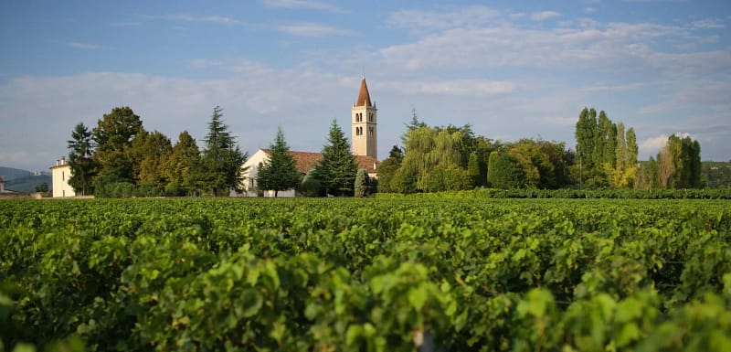 The Colognola ai Colli Estate – Tenuta Santa Maria di Gaetano Bertani – Verona The Colognola ai Colli Estate - Tenuta Santa Maria di Gaetano Bertani - Verona